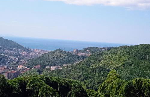 Collina Belvedere, appartamento indipendente in villa Salerno-Capezzano - Foto 1