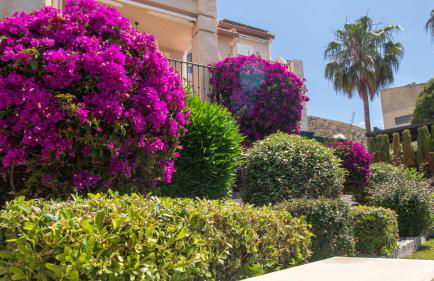 Casa Aura By Calpitality - Photo 43