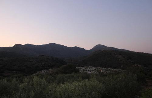 Aloni Studio - Foto 30