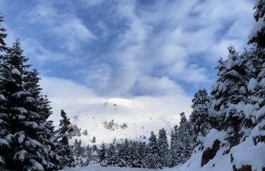 Alonaki House - Foto 53