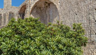 Dominium Old City Suite - Foto 5