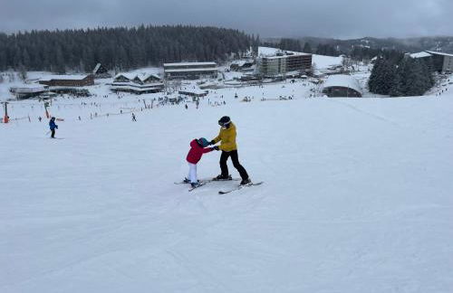 Ferienhaus Rose mit Sauna und HS-Card - Greschuk Apartments - Photo 14