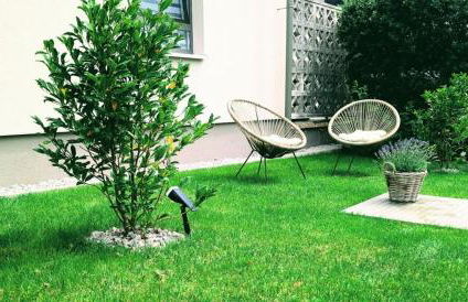 Blackforest Apartment Schömberg - Foto 34