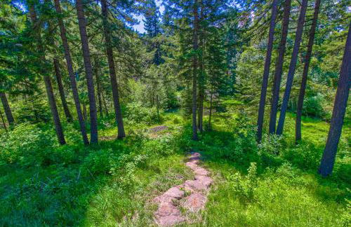 Elk Meadows Escape - Foto 10