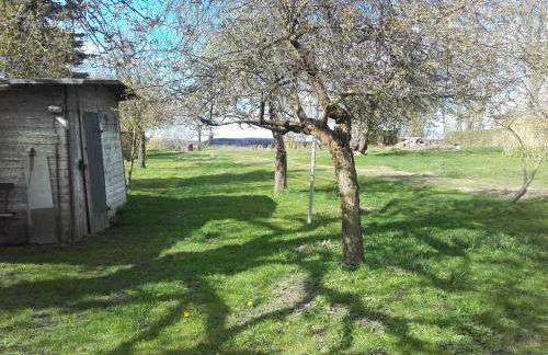 Apartments Sonne am Sund - Photo 58