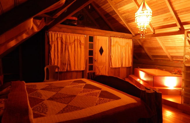 Dogs and Fish Dream Land - Foto 25