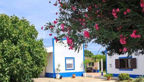 Monte da Figueira - Foto 5