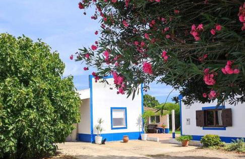 Monte da Figueira - Foto 5