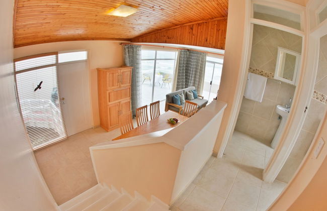 First Group Desert Rose - Photo 22