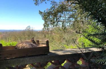 La casa nel Monferrato "LA CONTENTËSSA" - Photo 48