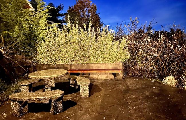 Shore Thing - Photo 39