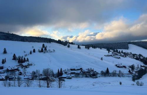 Berghof Almzeit - Fewo "Hüsli", Sauna, Todtnauberg, Feldberg - Foto 37