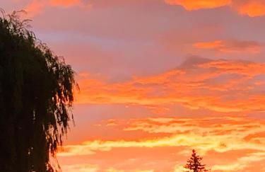 Ferienwohnung Juttchen - Photo 50