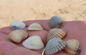 AB Musiol - Photo 26