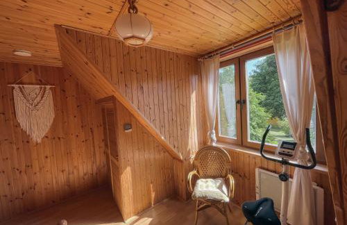 Rzeka i las - Photo 33