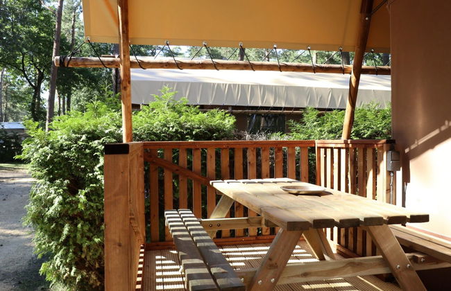 2 bedroom House in Otterlo with swimming pool and terrace - Photo 13