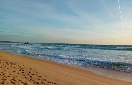 A PINTEGA DAS DUNAS - Foto 40