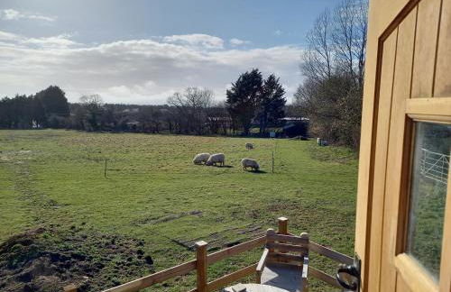 Under the Stars Shepherds Huts at Harbors Lake - Photo 13