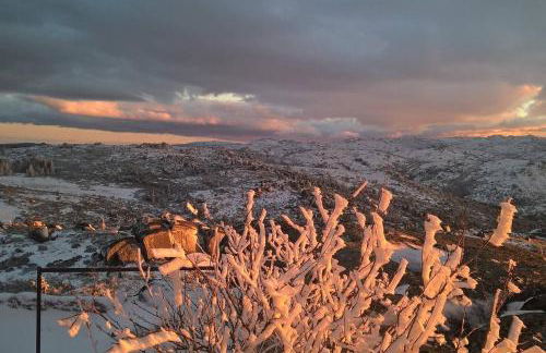 Casa Ferreira - Foto 49