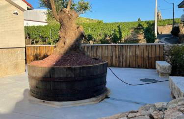 Cepas Da Cuenga - Foto 8