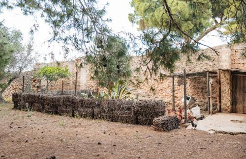 Masseria Piutri - Photo 28