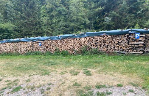 Pension Waldfrieden - Foto 39