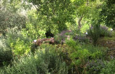 Gourgiana Apartments - Foto 26