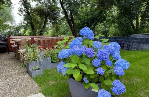 Ferienhaus am Bunderhammrich 25184 - Foto 15