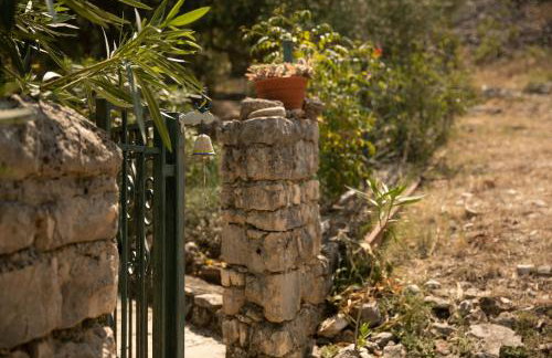 Apartman Silna your new home with terrace and garden - Foto 8