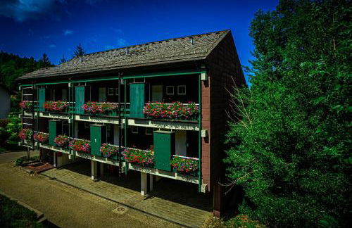 Natur tanken im Schwarzwald - Foto 31