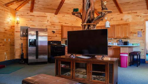 Bear Necessities Cabin, Mesa Verde Getaway - Foto 5, Other