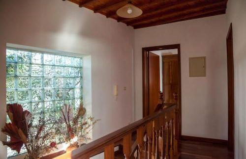 Quinta das Bolas - Photo 23