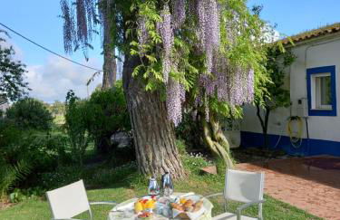 Monte Da Serralheira Agro Turismo - Foto 25