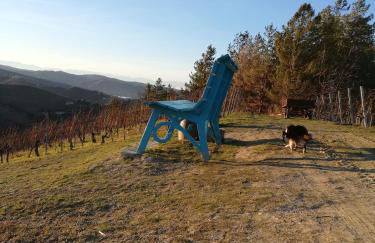 La Giribaldina Winery & Farmhouse - Foto 53