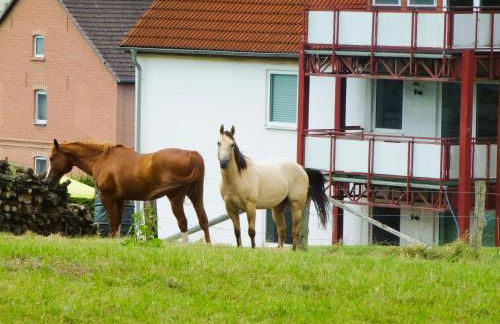 Ferienwohnungen MAXIMA - Foto 22