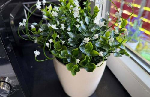 Cozy Apartment in Sankt Augustin - Foto 3