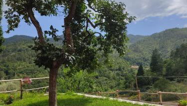 Agriturismo Torsivì - Foto 3, Garden