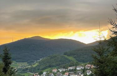 Wolfshound Cottage - Foto 65