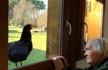 La Fournière de Jean - La Téouleyre - Foto 24
