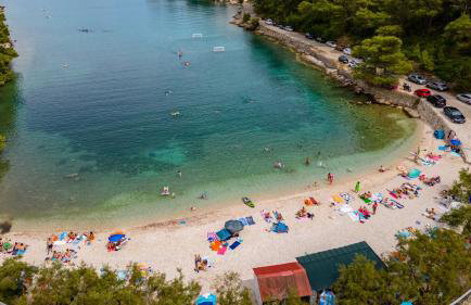 Luxury villa with a swimming pool Skrip, Brac - 17350 - Foto 4
