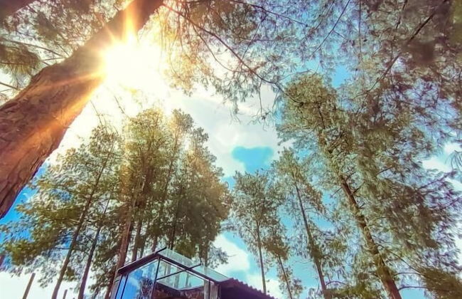 Casa Barcelona - Foto 39