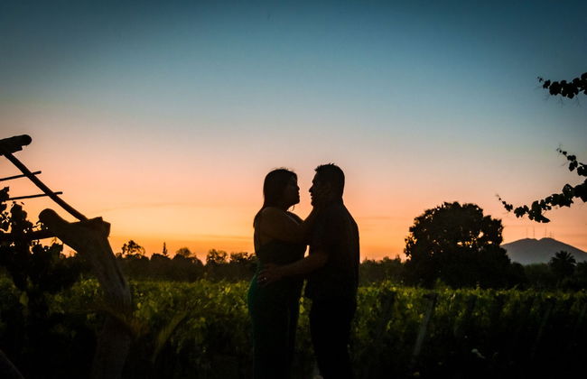 Glamping Toneles y ViƱedos - Photo 23