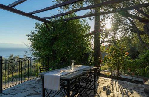 Andromachi - Foto 15