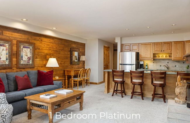 Montaneros in Vail - Foto 3