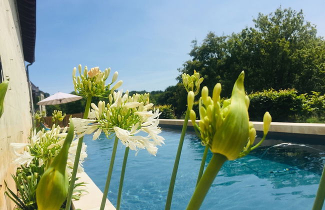 Château D'hodebert - Foto 46