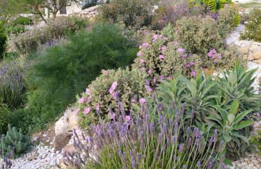 Finca Las Morenas - Foto 52