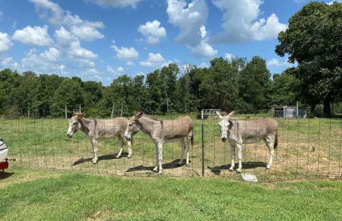 The Varnadoe Villa- Farm Stay - Foto 49