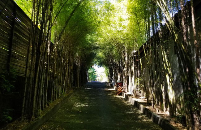 Kampoeng Bamboo - Foto 23