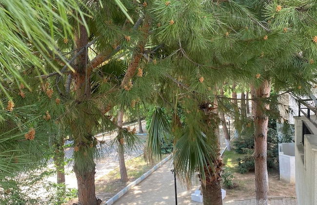 The Palm Club Apart Otel - Photo 78