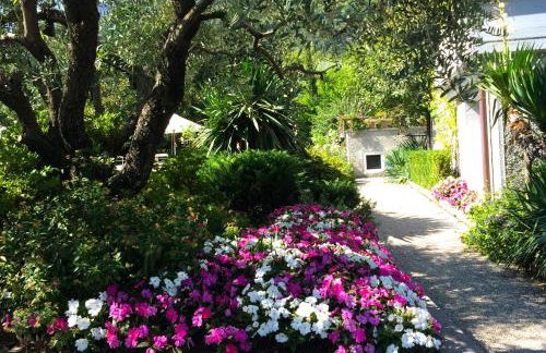 IRIS 1 lago di Como - Foto 41